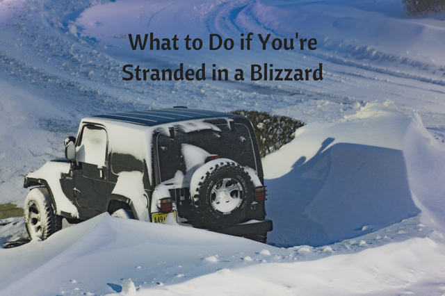 What to do if you're stuck in a blizzard.png